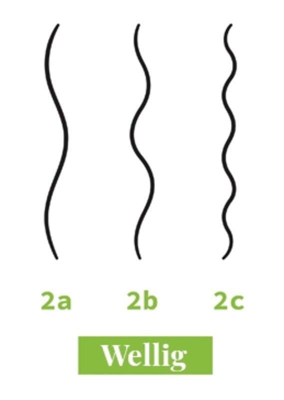 Credit: Elena Pimukova | Adobe Stock